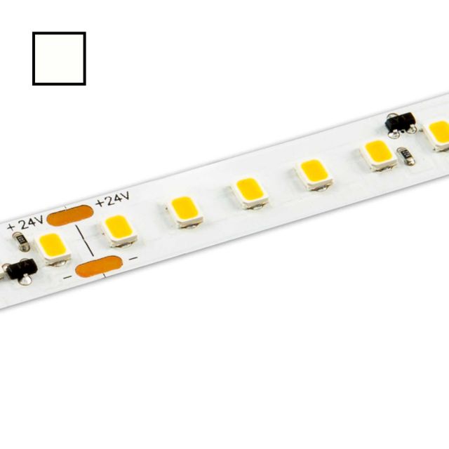 LED-Flexmodul 10 Pro 100, 24V, IP20, 1750lm/m, 14W/m, 4000K, 5m