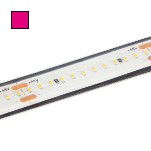 LED-Flexmodul 12 Pro48 85, 48V, IP68, 8W/m, pink, 30m