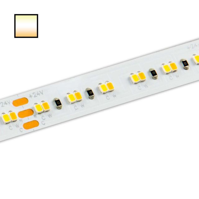 LED-Flexmodul 10 Pro 95, 24V, IP20, 1600lm/m, 19W/m, 1800K-4000K, 5m